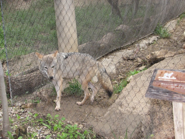 20100206 529.JPG